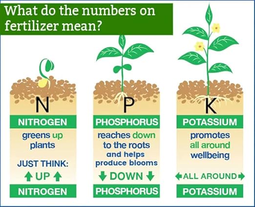 Premium 8-4-8 Professional Palm Tree Fertilizer Plant Food |Indoor Potted Plants and Outdoor Landscape Palm Trees | Quick-Release Nitrogen Fertilizer and Continuous Feeding (10 Quarts)
