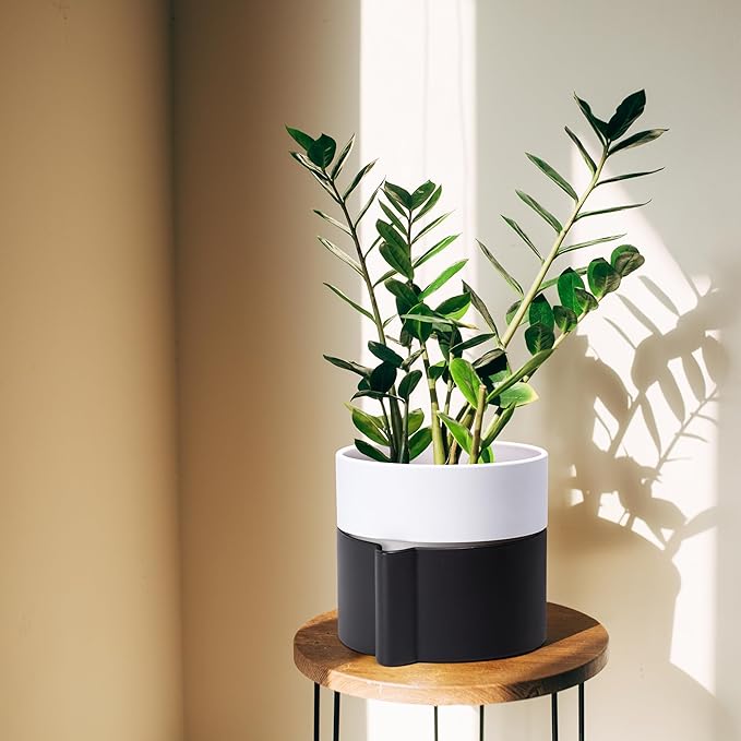 Phoenix Vine 6.5 Inch Self-Watering Planter Pot with Terracotta Insert, Deep Water Reservoir, and Ceramic-Alike BPA-Free Plastic Pot for Plant, Modern Planter for Houseplants, Black/White, 53-C-S-7