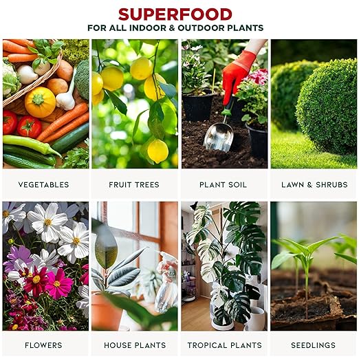 GARDENERA Premium Organic Seaweed & Kelp Superfood for Peace Lily Plants - 32 oz - Liquid Kelp Fertilizer Concentrate (Makes 180 Gallons)
